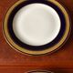2 Limoges porcelain plates decorated with fine gold