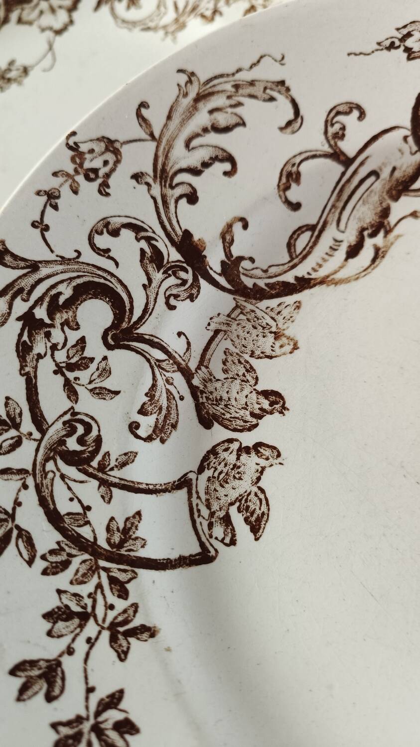 Brown bird flat plates