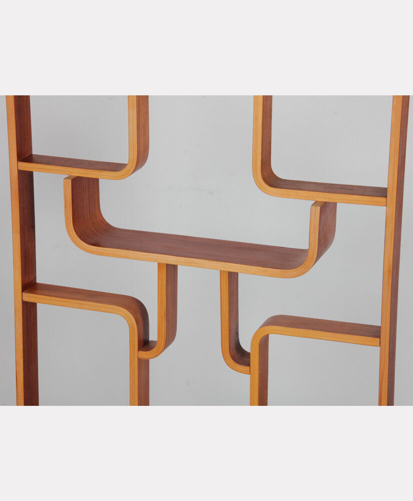 Claustra, Czech mahogany made by Ludvik Volak, 1960