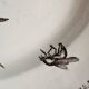 Large antique oval dish Terre de Fer – decoration of apples and insects