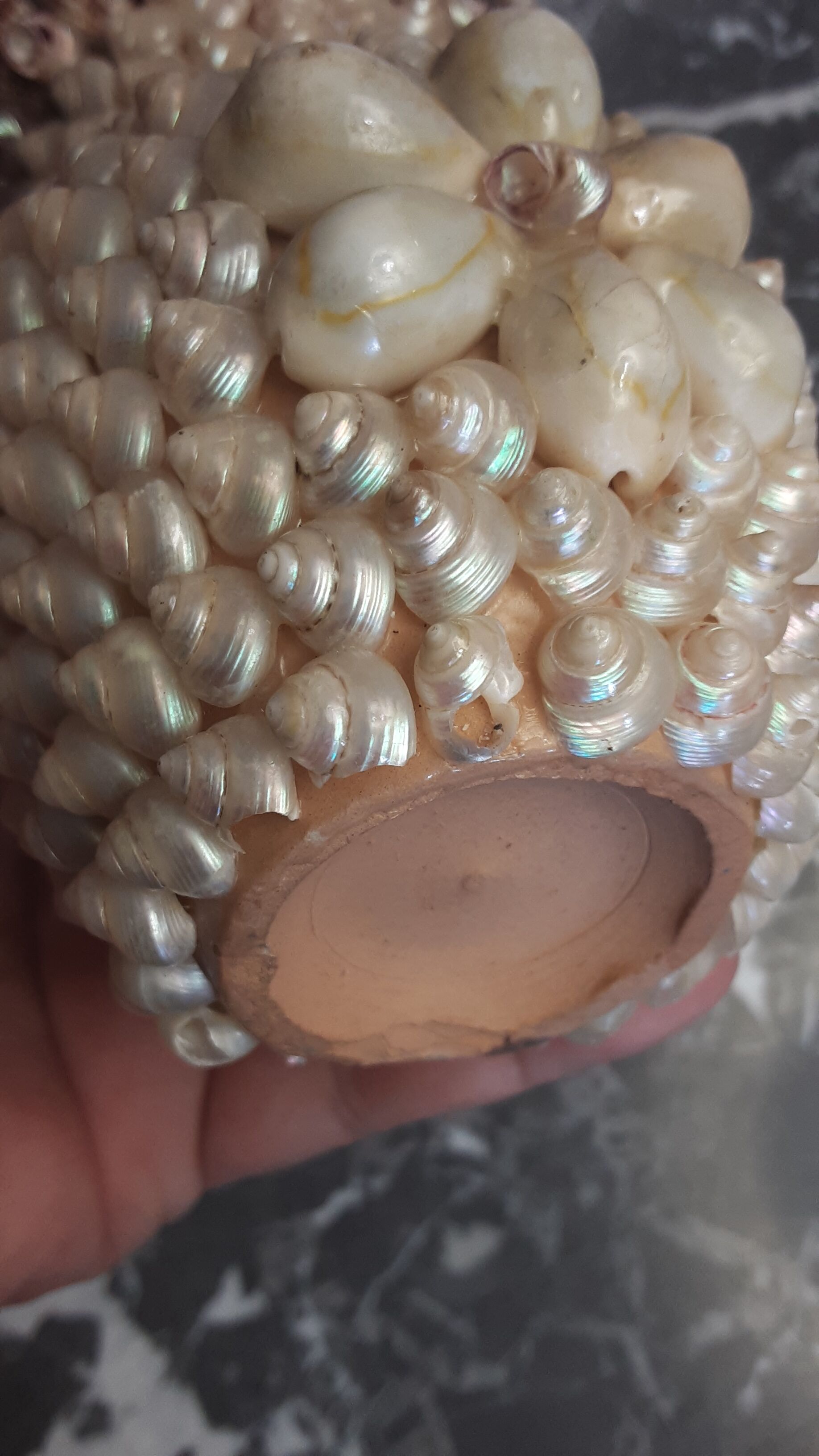 Vase terracotta shells - year 70