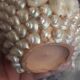 Vase terracotta shells - year 70