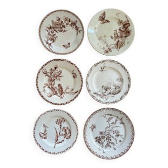 Mismatched series of 6 old flat plates