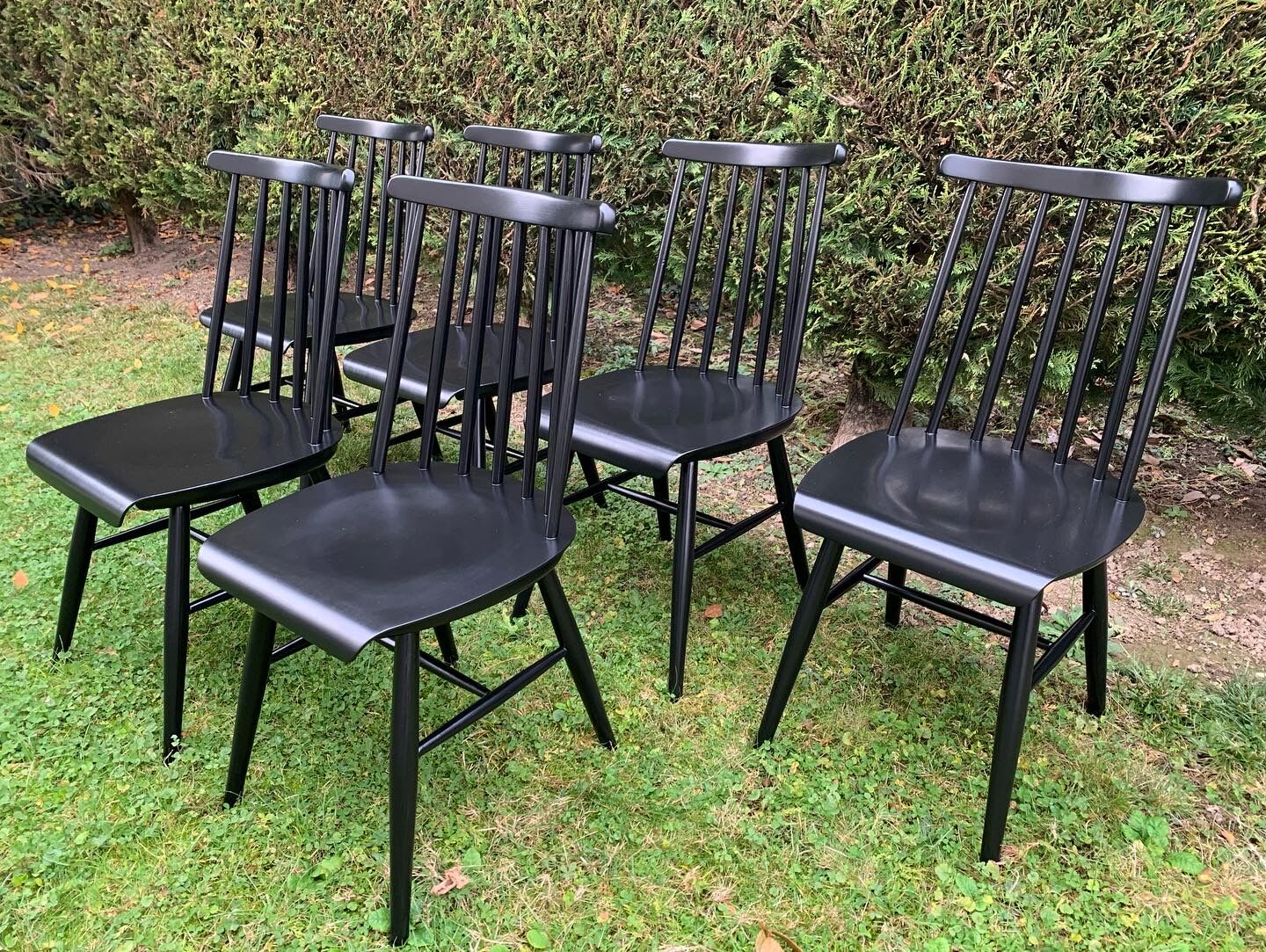 Suite of 6 Fanett chairs by Ilmari Tapiovaara
