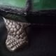 Turtle night light in regulated glass carcass stained glass way