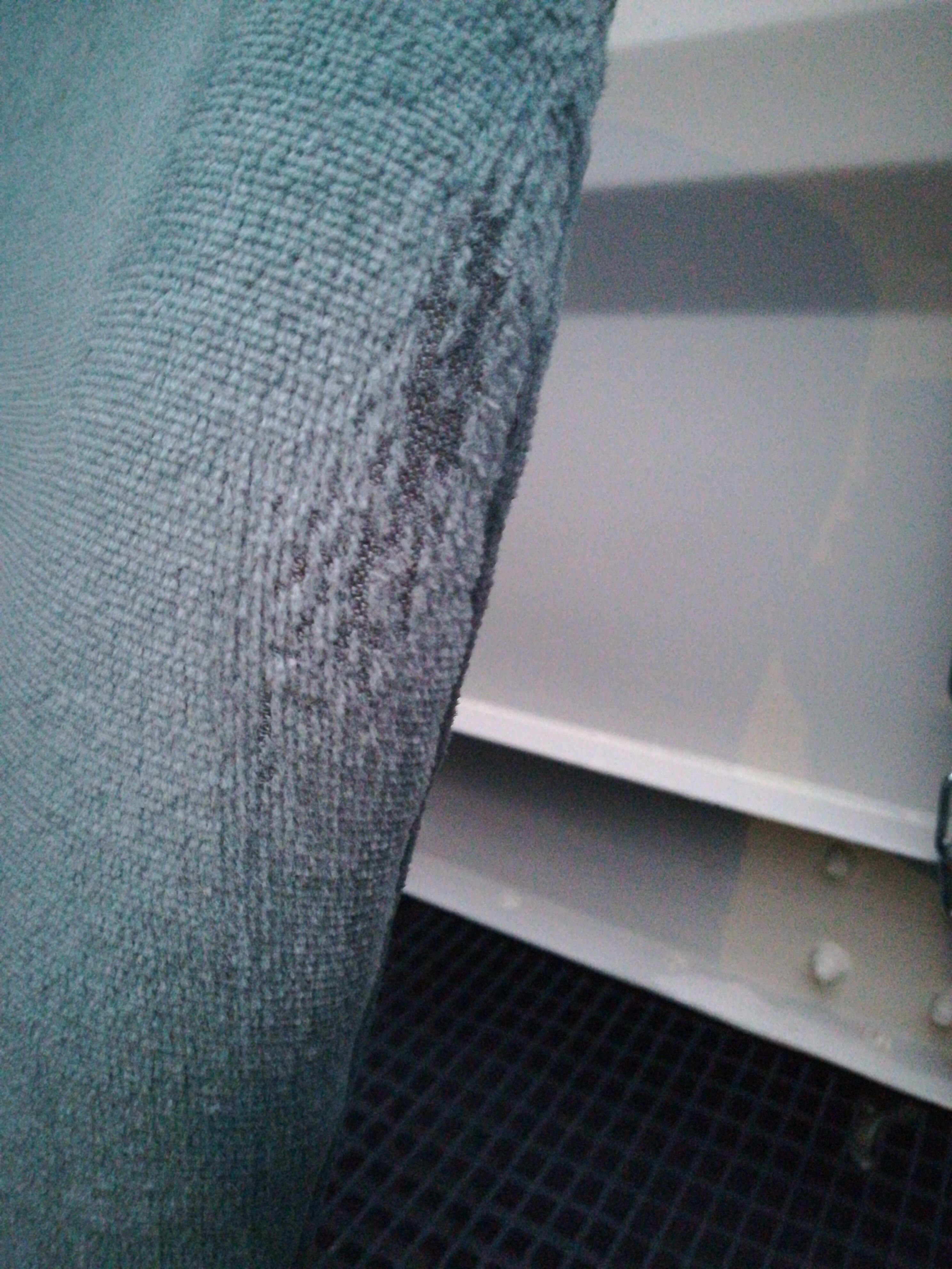 Glacier blue velvet toad heater