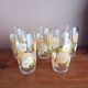 Set of 5 floral orangeade glasses