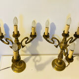 Large table lamps in solid bronze, decorated with acanthus leaves.