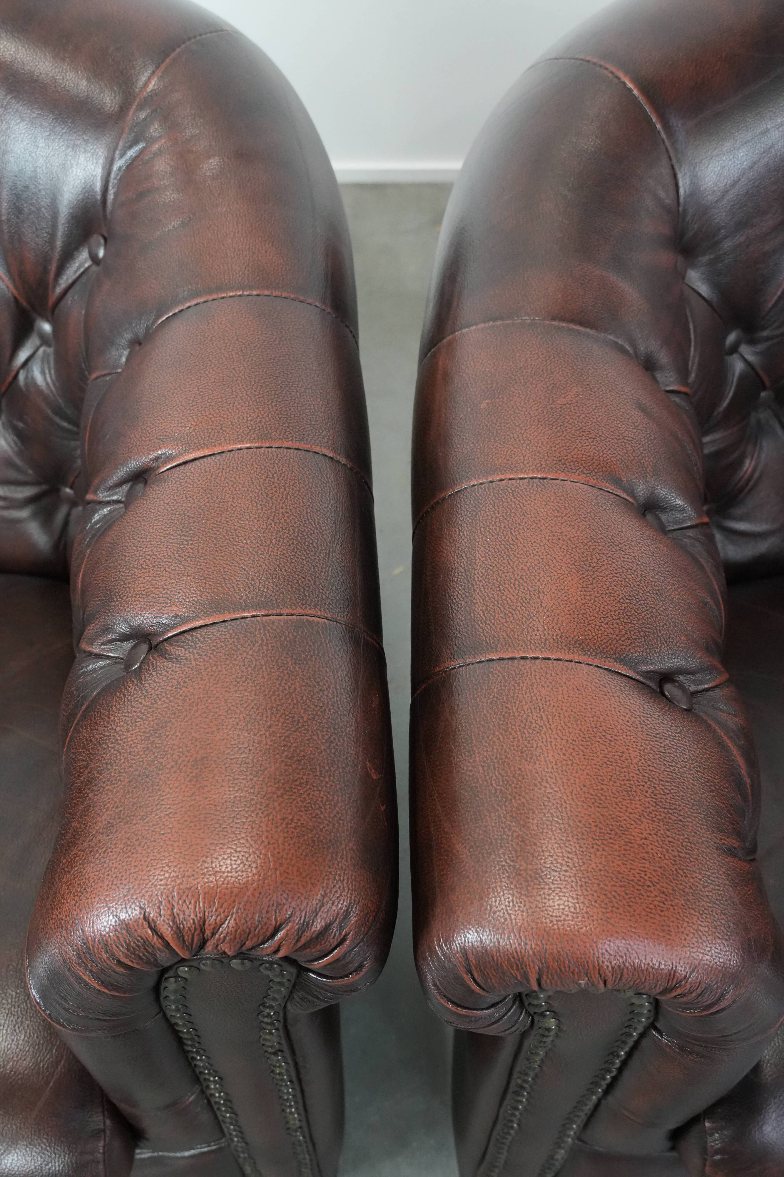 Set of three classic English-style Chesterfield cowhide  club armchairs