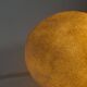 Vintage moon rock lamp from Tecta in the style of André Cazenave, 1960s
