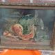 Still life painting