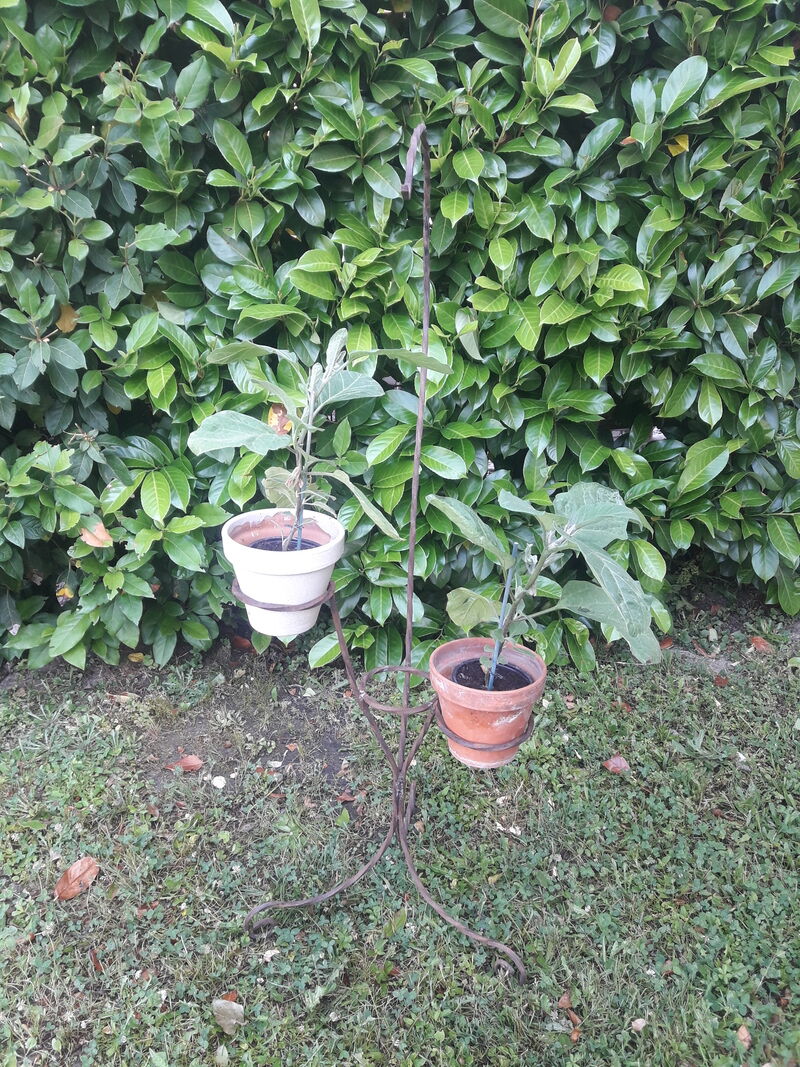 Porte plante h135cm fer torsadé vintage