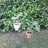 Plant holder h135cm vintage twisted iron