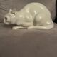 Chat porcelain Wiener Kunstkeramische Werkstätte 1900s