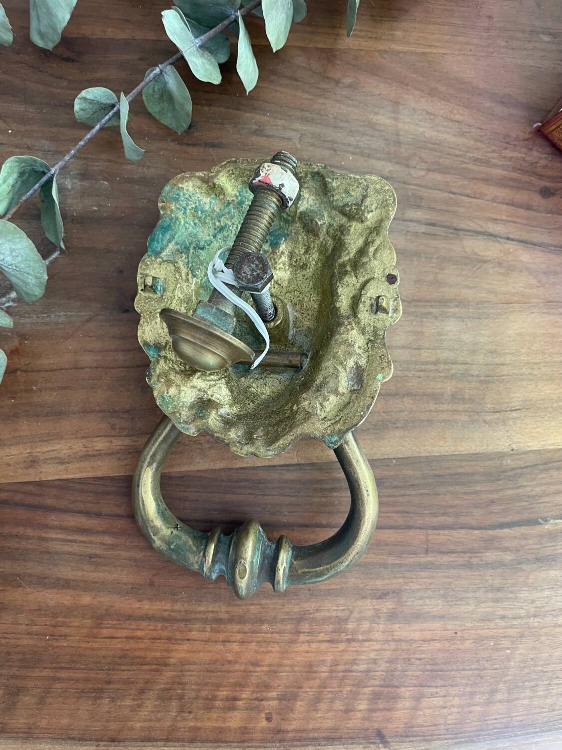 Bronze lion door knocker