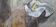 Peinture japonaise