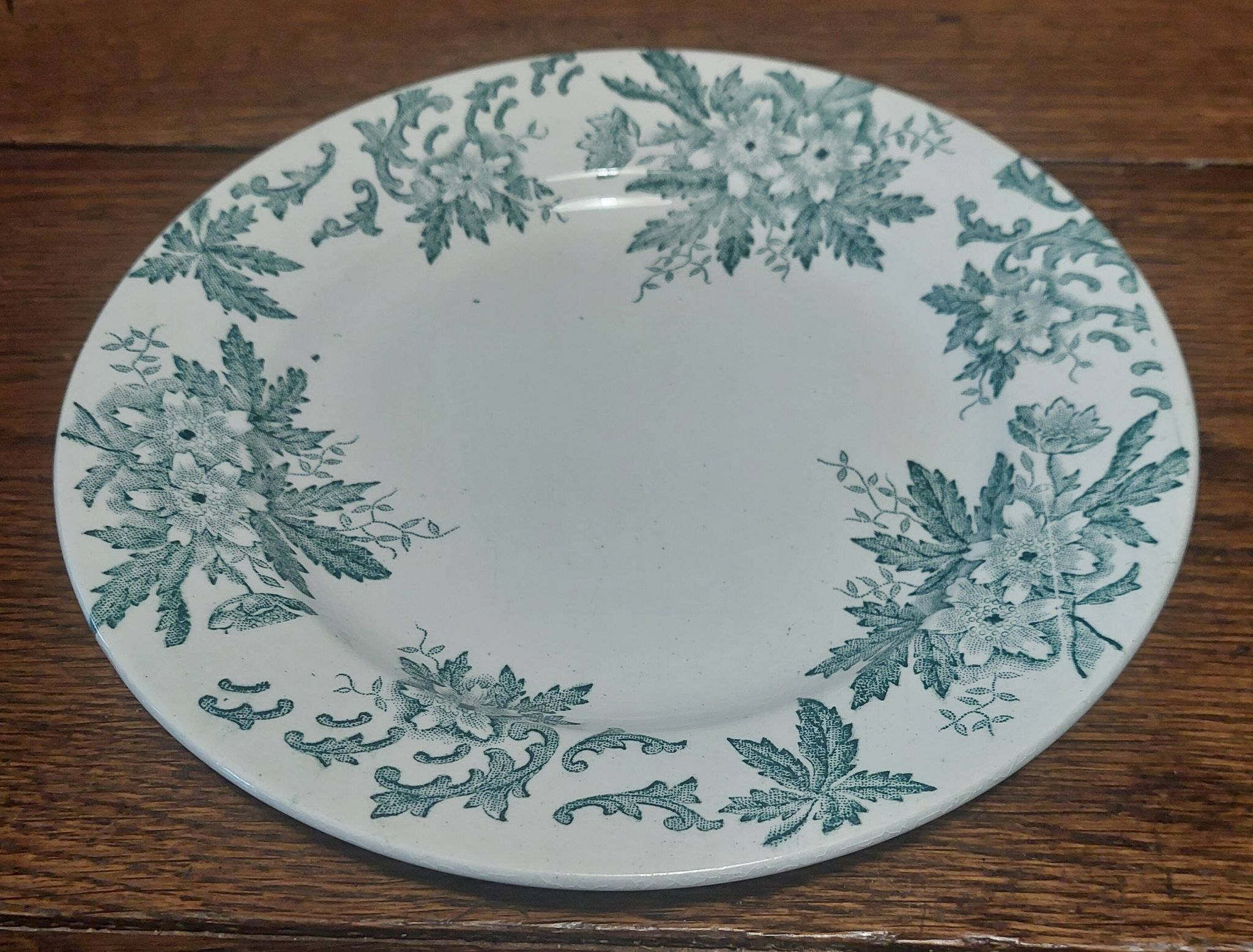 Assiette en faïence terre de fer Saint Amand décor anémone