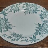 Ironstone plate from Saint Amand with anemone decoration.