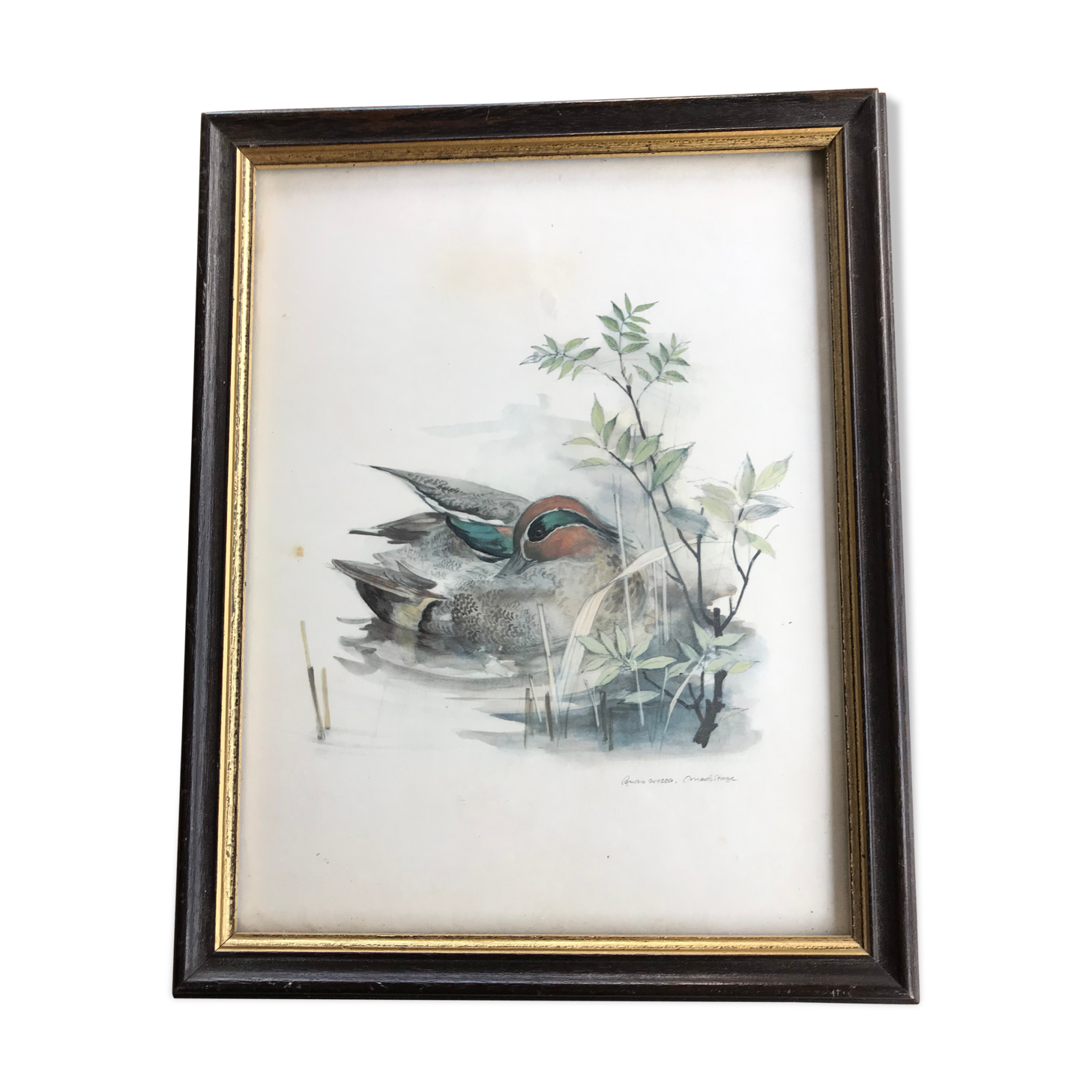 Vintage nature painting, Teal