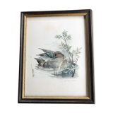 Vintage nature painting, Teal