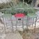 Chaises de bar Rodet