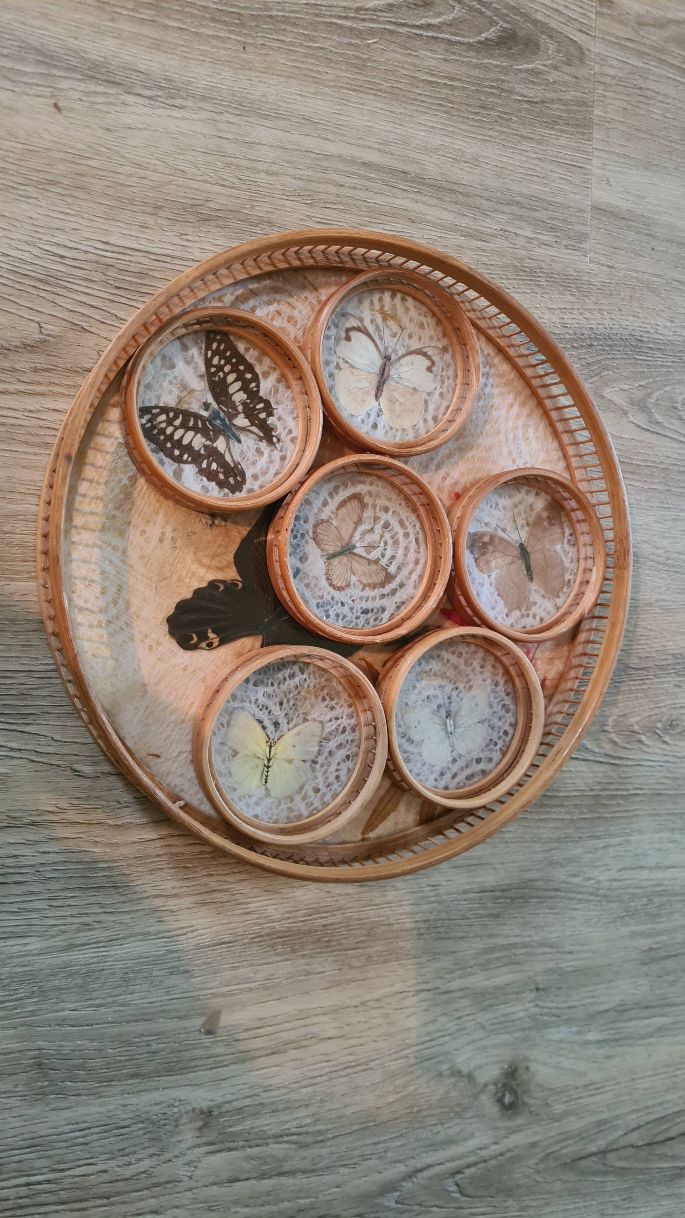Old bamboo and rattan tray / 6 butterfly coasters / entomology height 4 cm / diameter 28 cm