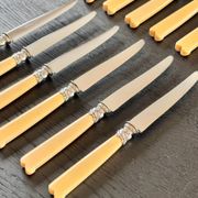 12 Robert Linzeler knives and leg of lamb set for Jules Piault Paris
