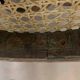 Chaise haute Thonet en bois courbé