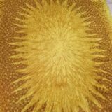 Bergoss Bergrya 1970's wool sun mat 141x196cm