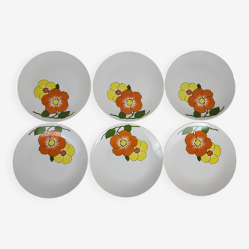 6 assiettes plates en porcelaine vintage