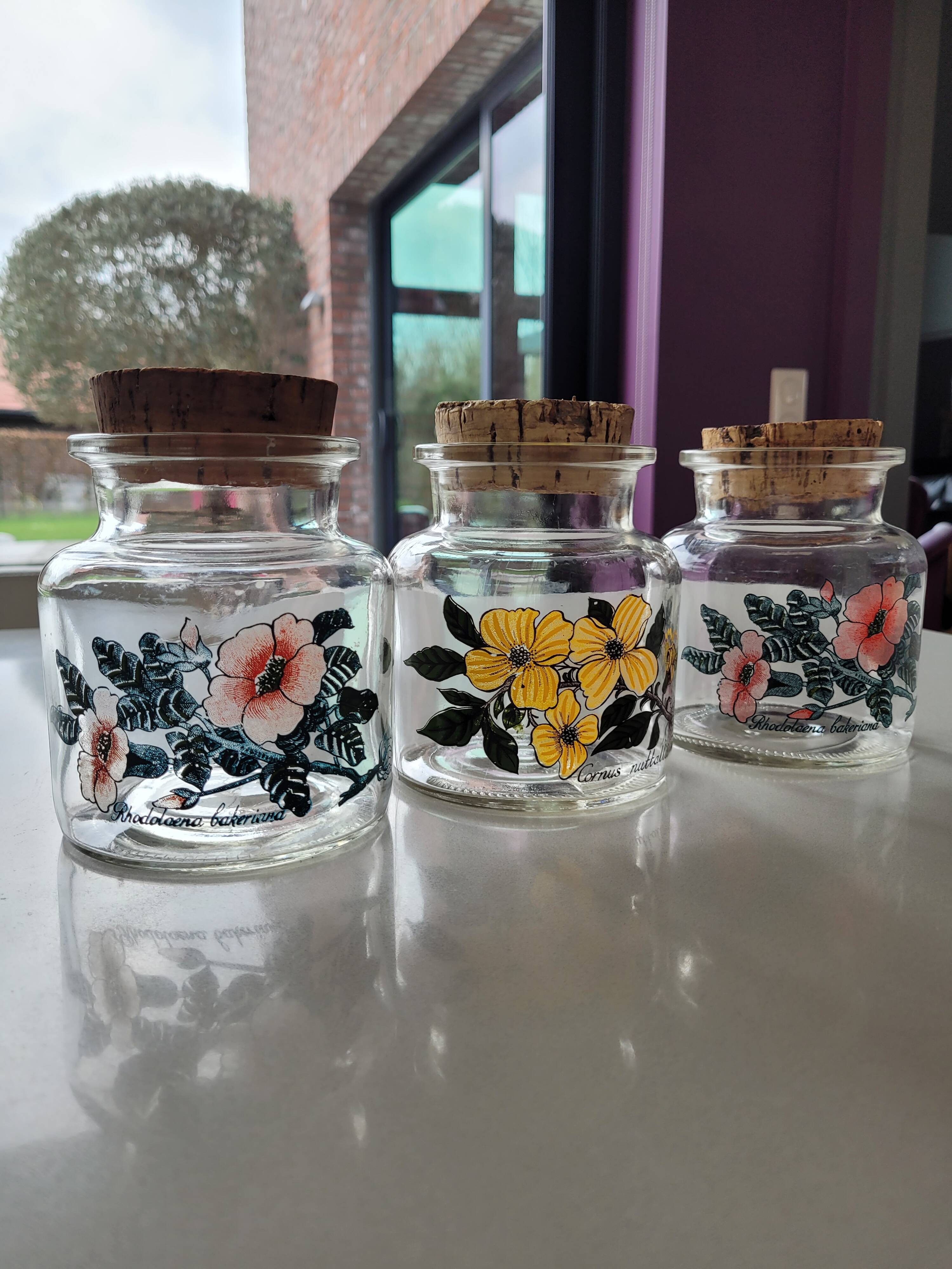 3 glass jars cork stopper