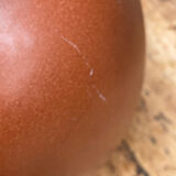 Vase w.germany 650-26 vintage fawn ceramic