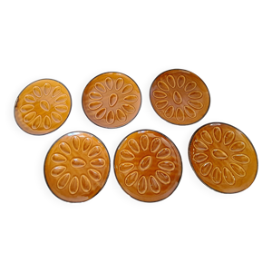 6 assiettes à coquillages