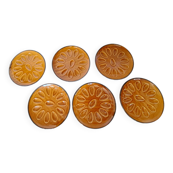 6 assiettes à coquillages