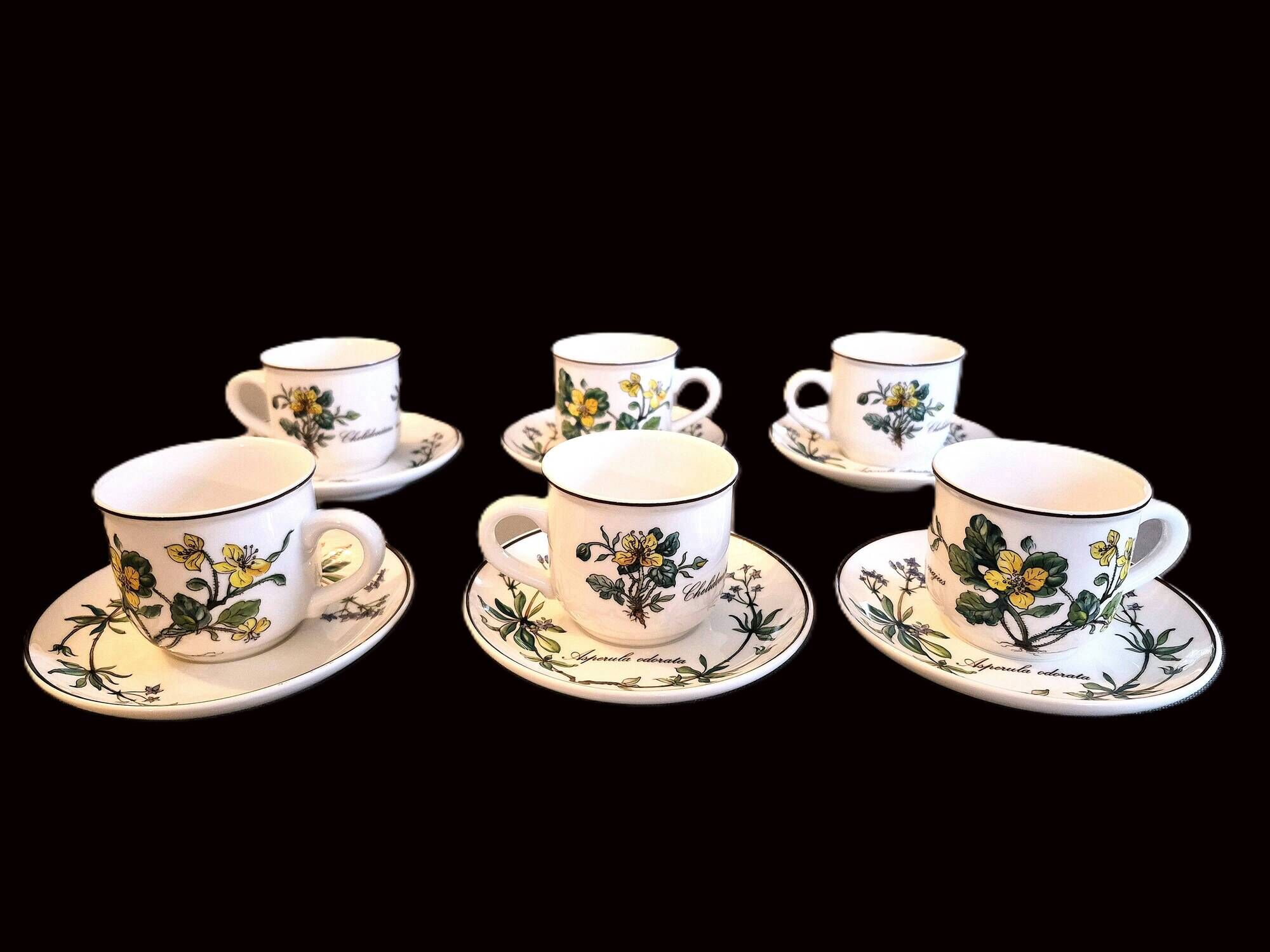 Set of 6 coffee cups and saucers Villeroy & Boch, vintage, Botanica