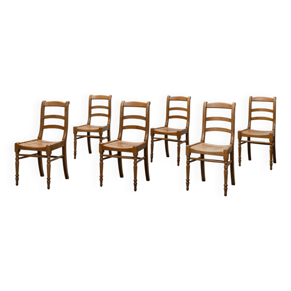 Lot de 6 chaises néo-rétro en hêtre massif