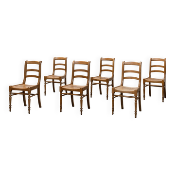 Lot de 6 chaises néo-rétro en hêtre massif