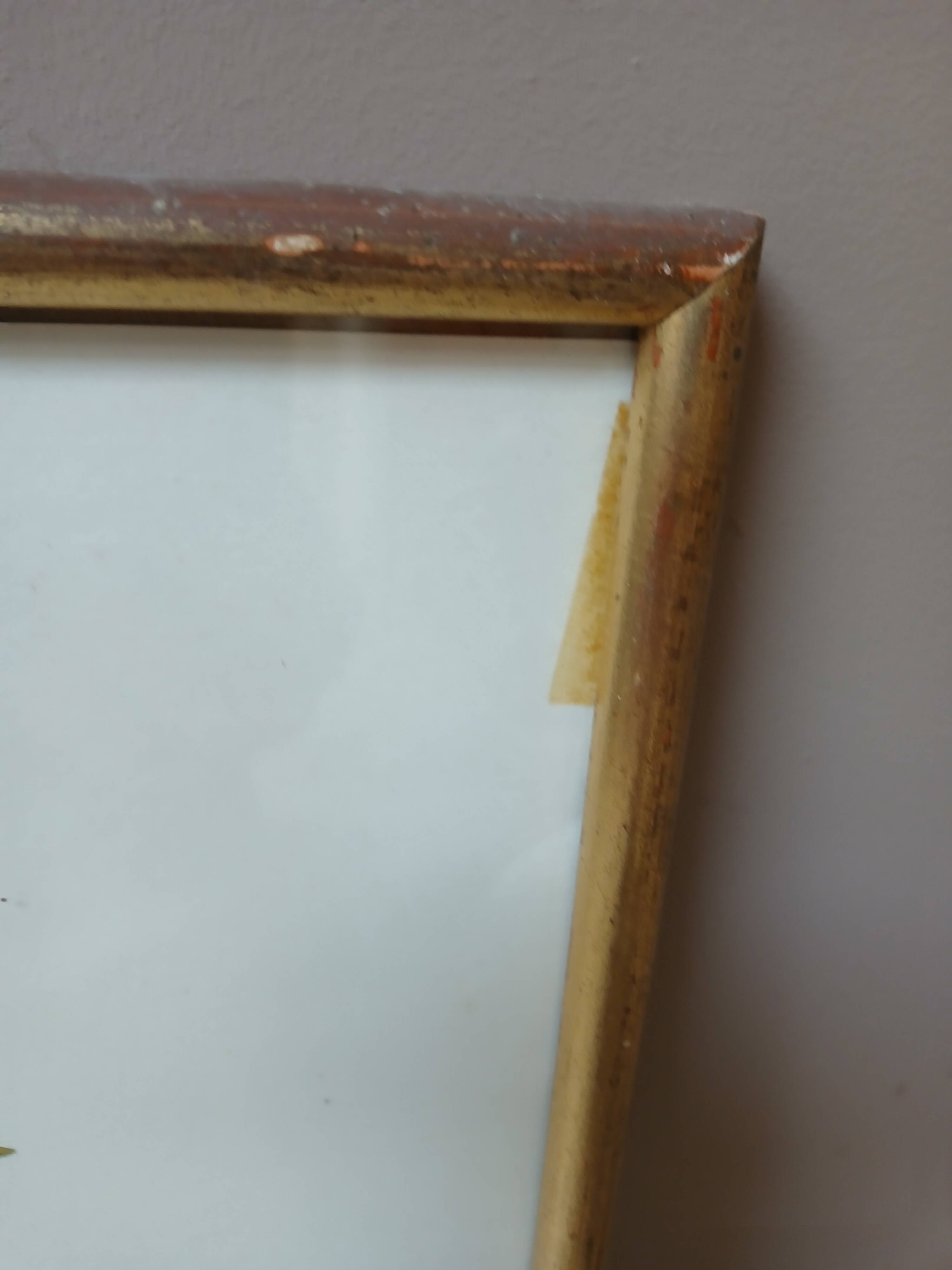 Lithograph by J. Audubon "Yellow Breasted Cat" from the 50s/60s, framed