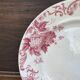 Plate in earthenware from Saint-Amand Snowball