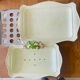 Asparagus serving dish SILEA