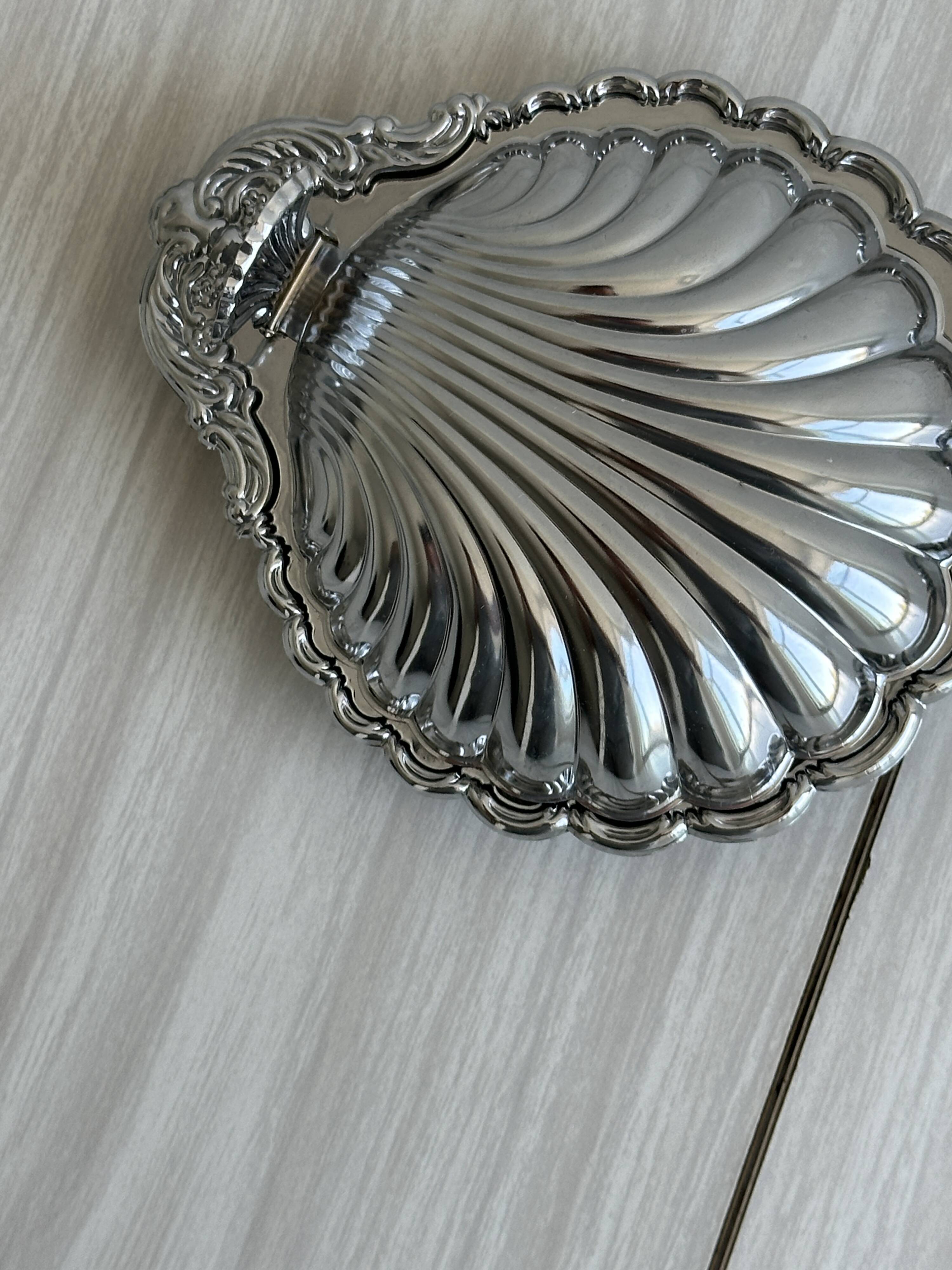 Shiny stainless steel shell bowl