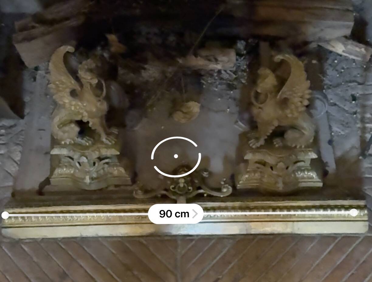 Chenets bronze griffins