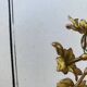 Two floral lithographs 224