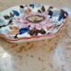 Empty pocket dish in Gien earthenware with peony decoration.