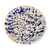 Dish