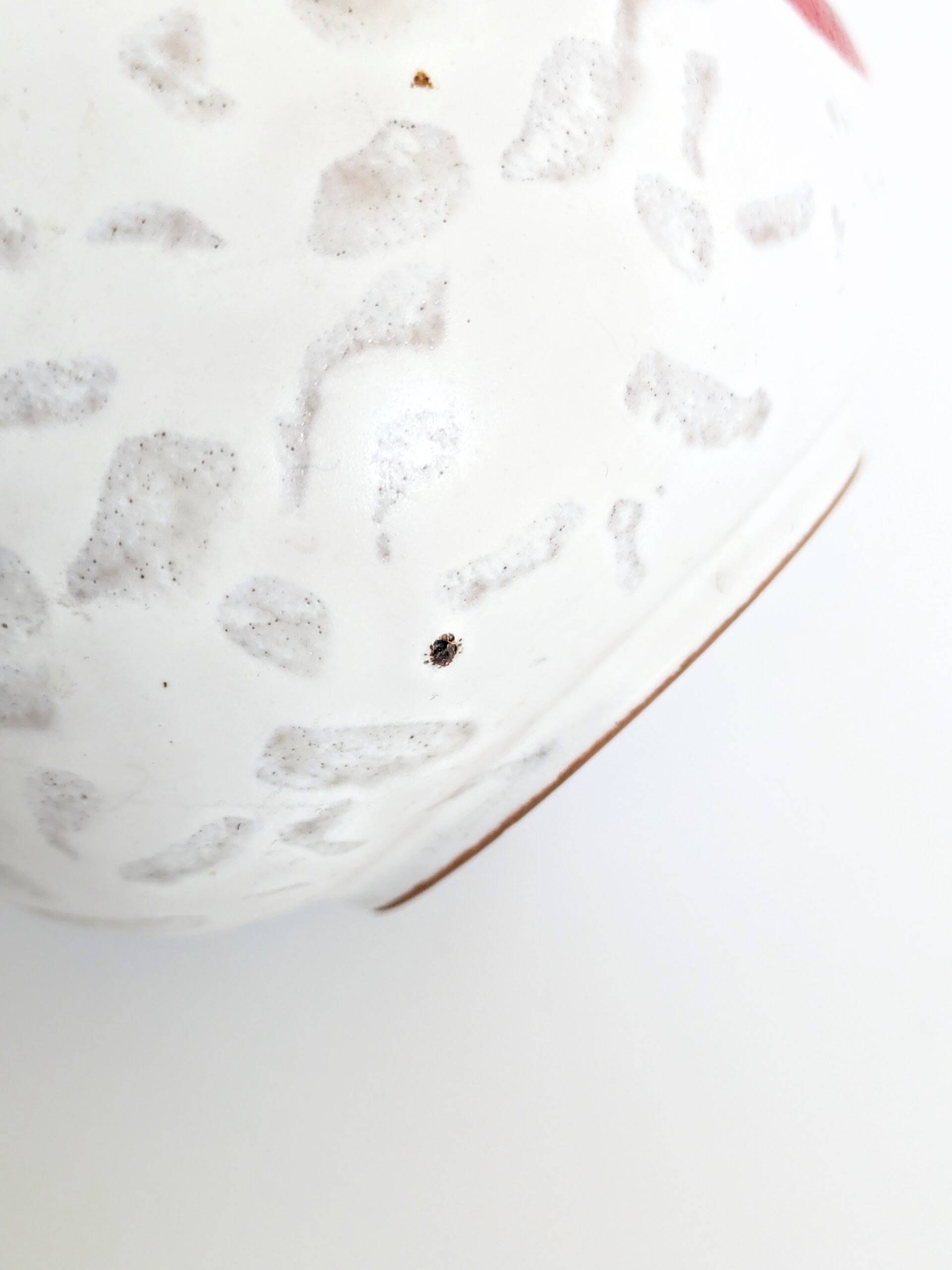 Vintage Carstens Tönnieshof "Attika" round vase, 1960s