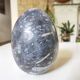 Fossil egg