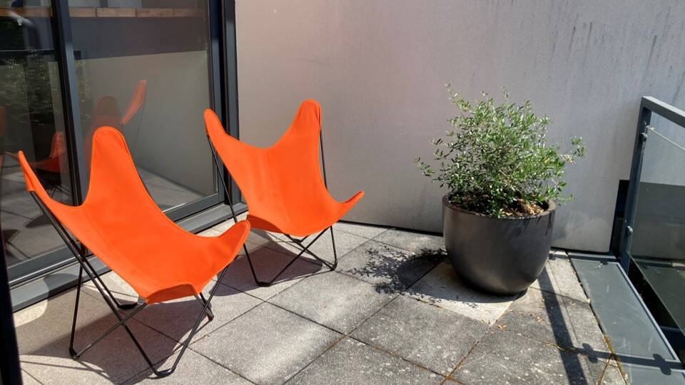 2 Butterfly with outdoor cotton cover