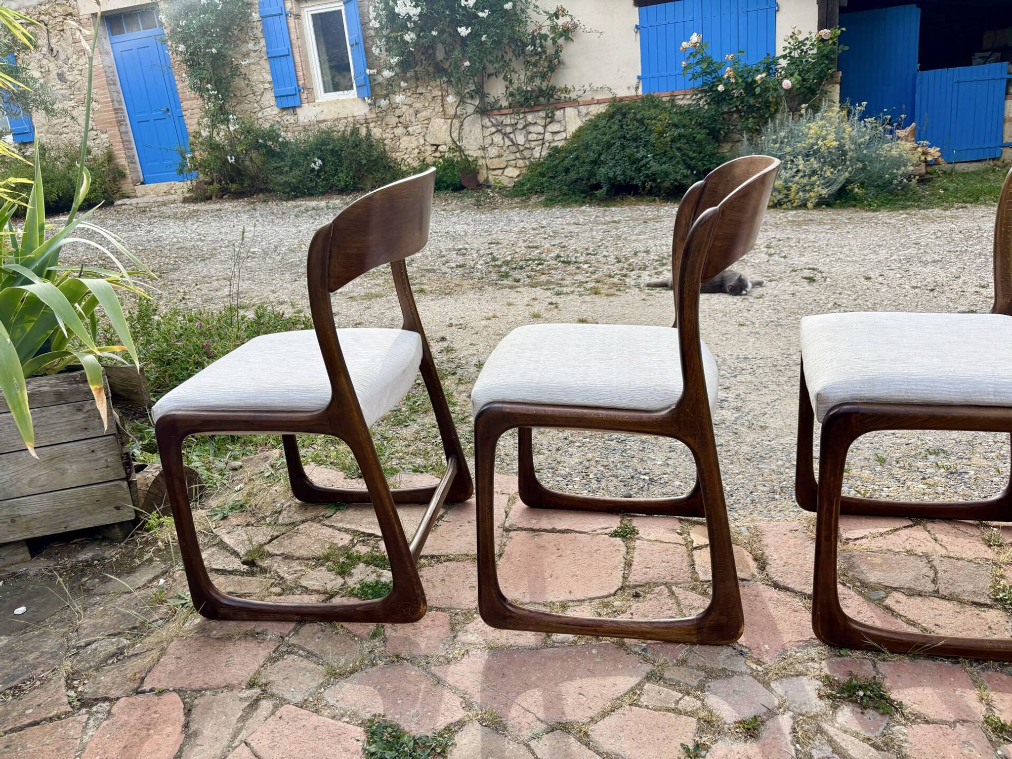 Four vintage Baumann sled chairs from the 1960s 1970s.