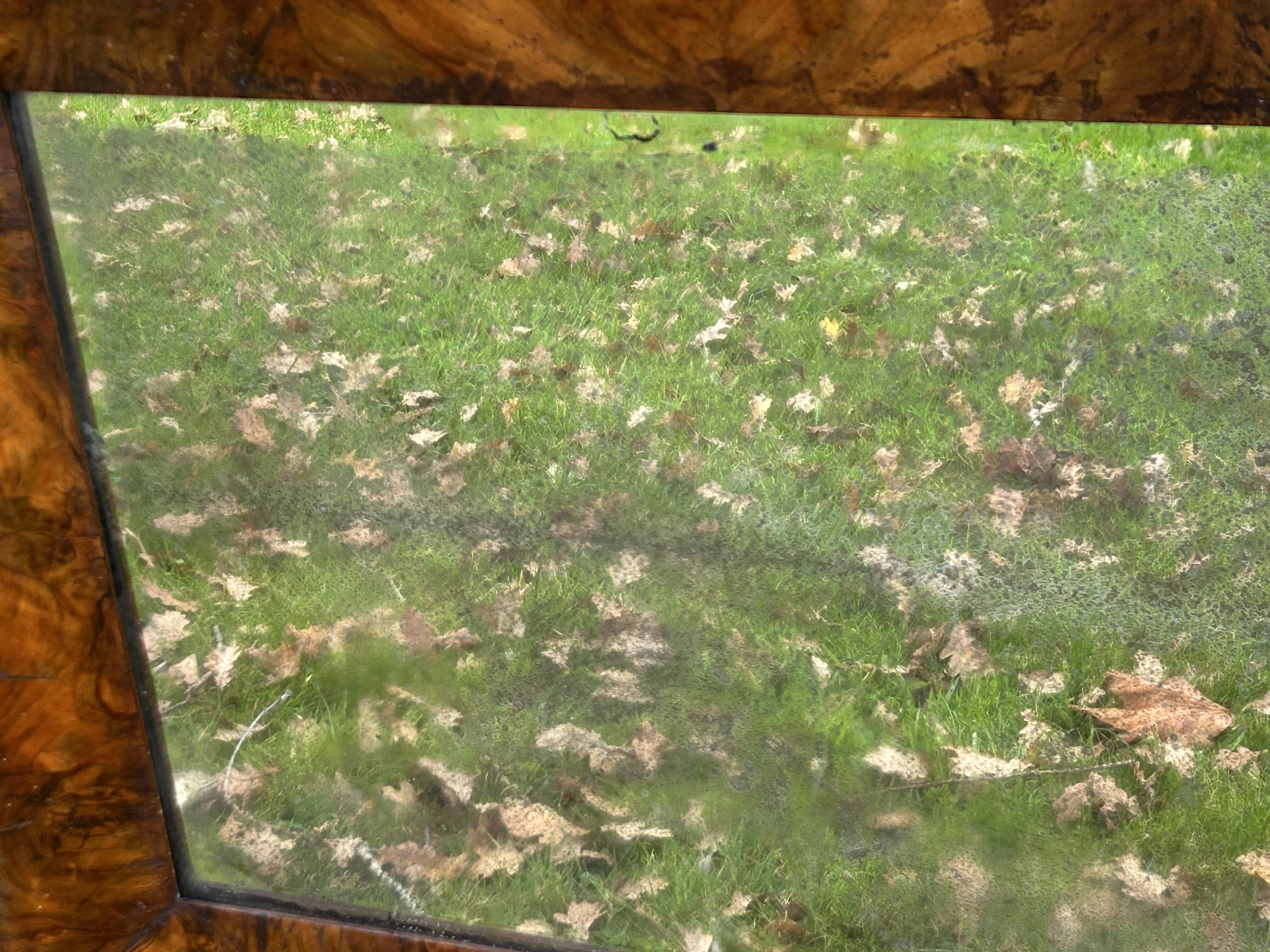 Antique mirror with elm burl molding, heavily demercurized, in its current condition
